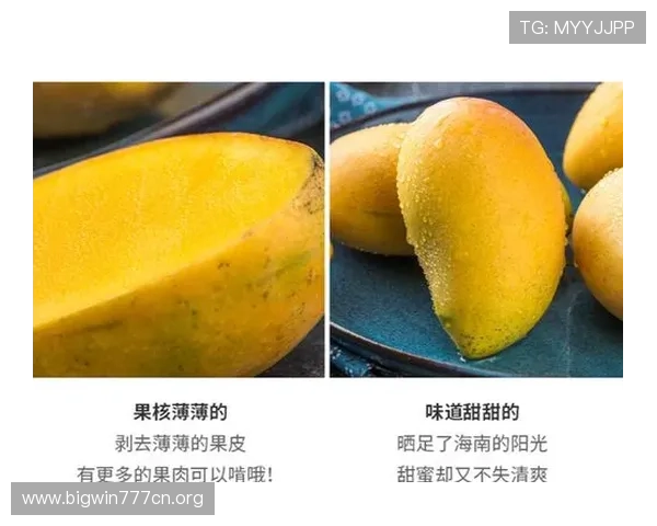 芒果体育奇异果体育下载过程中常见问题及解决方案全攻略